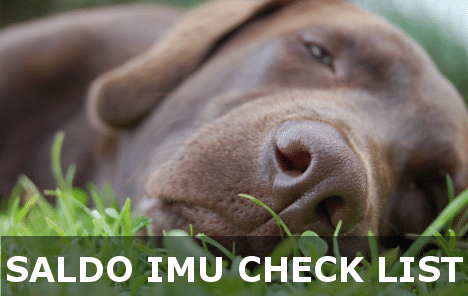 Check list per il saldo IMU