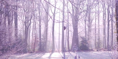 Semplificazione ritardi e confusione